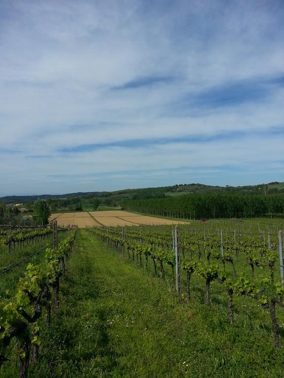 Podere Chiasso Gherardo Peccioli Exterior foto