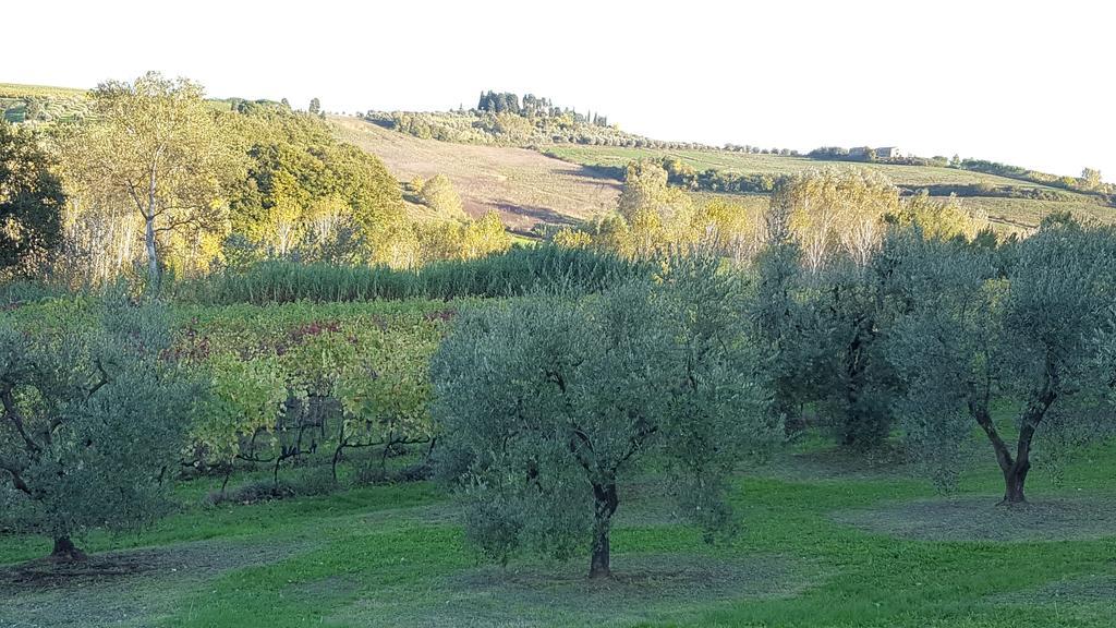 Podere Chiasso Gherardo Peccioli Exterior foto