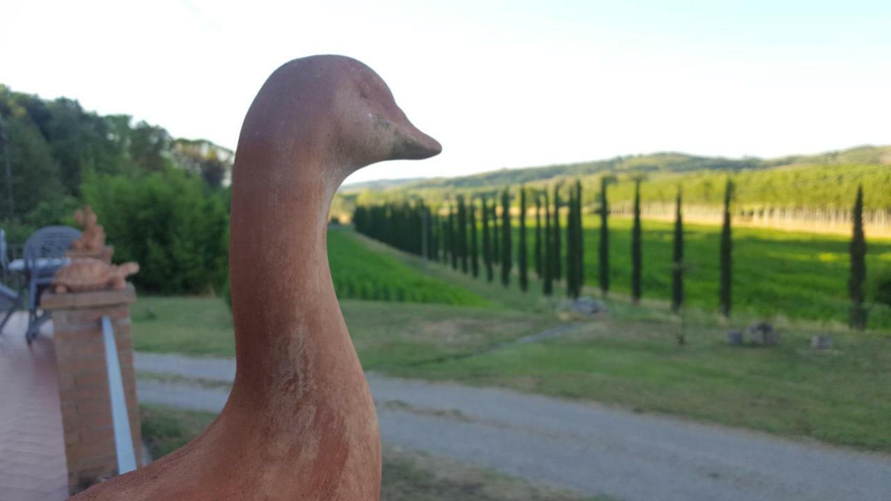 Podere Chiasso Gherardo Peccioli Exterior foto
