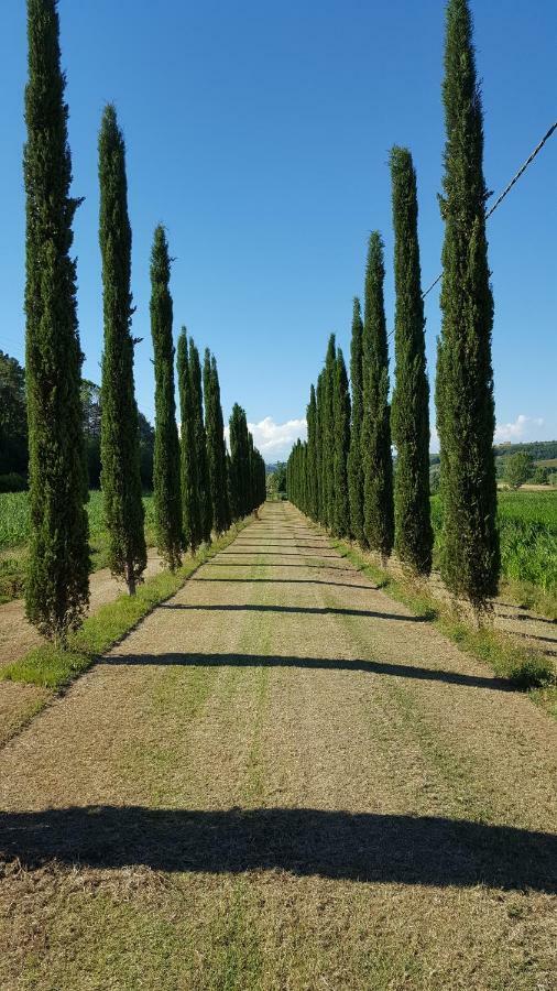 Podere Chiasso Gherardo Peccioli Exterior foto