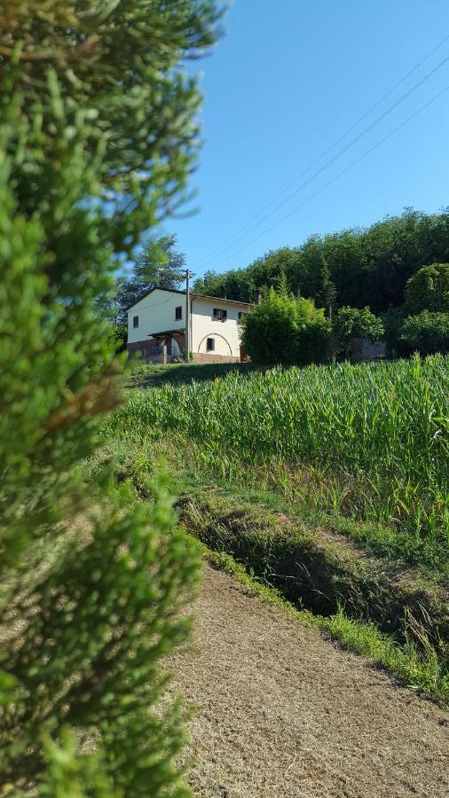 Podere Chiasso Gherardo Peccioli Exterior foto