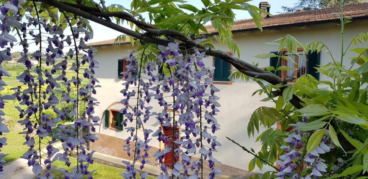 Podere Chiasso Gherardo Peccioli Exterior foto